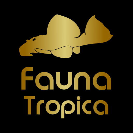 Logo Fauna Tropica