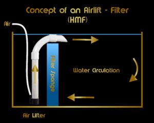 Airlift filter