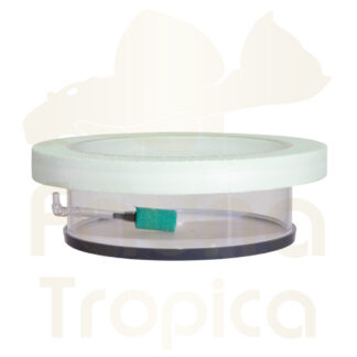 Floating breeding ring with air stone 150 mm